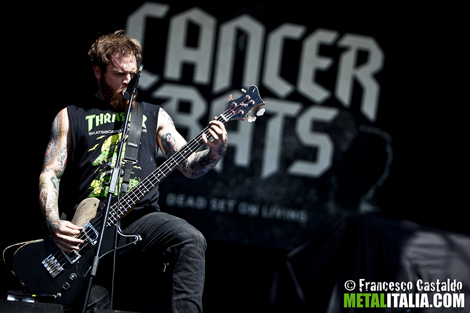 Cancer Bats